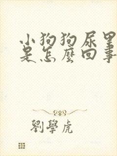 小狗狗尿里有血是怎么回事