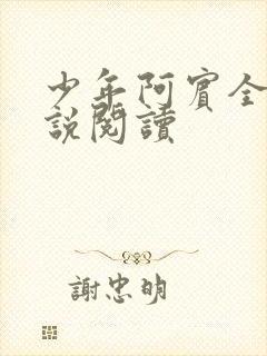 少年阿宾全文小说阅读