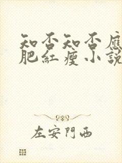 知否知否应是绿肥红瘦小说讲的什么