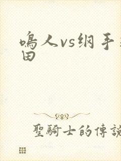 鸣人vs纲手雏田封面