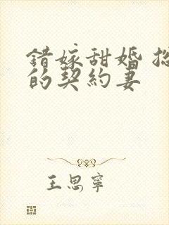 错嫁甜婚 总裁的契约妻