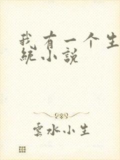 我有一个生子系统小说封面