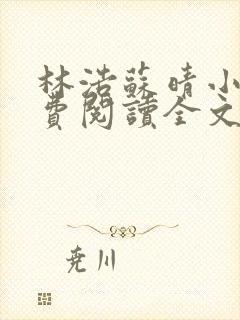 林浩苏晴小说免费阅读全文最新章节