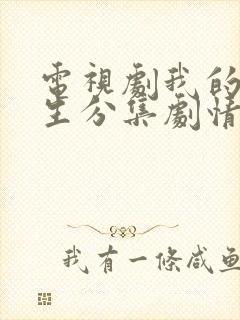 电视剧我的后半生分集剧情封面