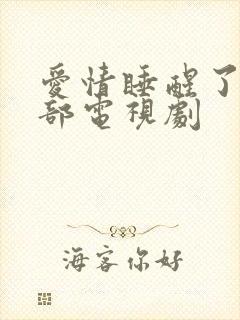 爱情睡醒了第二部电视剧封面