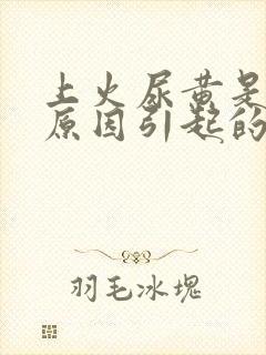 上火尿黄是什么原因引起的