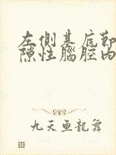 左侧基底节区腔隙性脑腔内梗阻封面