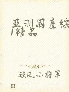 亚洲国产综合91精品