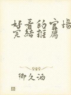 好看的官场小说完结推荐封面