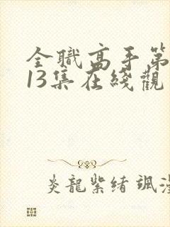 全职高手第一季13集在线观看免费封面