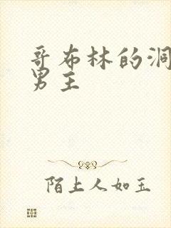 哥布林的洞穴双男主