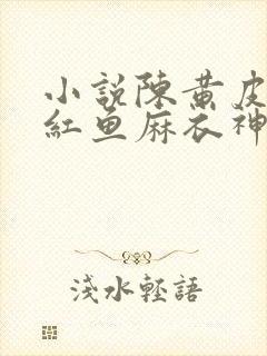 小说陈黄皮,叶红鱼麻衣神婿封面