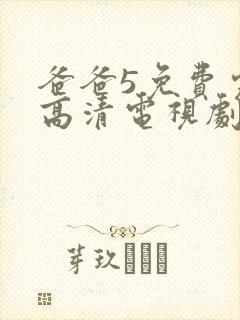 爸爸5免费完整高清电视剧