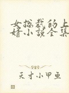 女总裁的上门龙婿小说全集