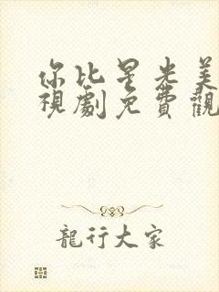 你比星光美丽电视剧免费观