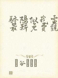 骄阳似我电视剧最新免费观看完整版封面