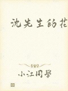 沈先生的花式调