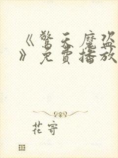 《惊天魔盗团三》免费播放