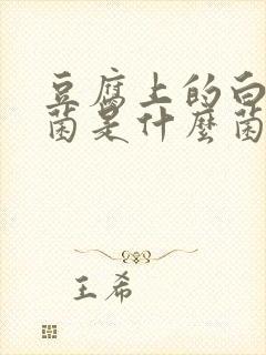 豆腐上的白色霉菌是什么菌