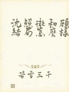 沈照微和顾昕川结局怎么样封面