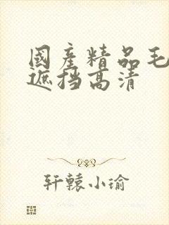 国产精品毛片无遮挡高清