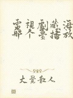 电视剧藏海传在哪个台播放