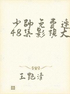 少帅免费连续剧48集影视大全封面
