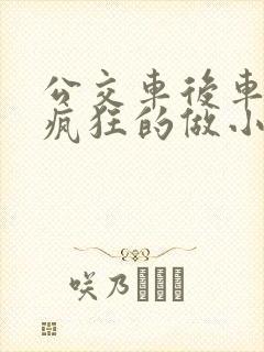 公交车后车座的疯狂的做小