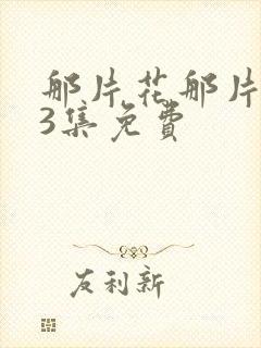 那片花那片海33集免费封面