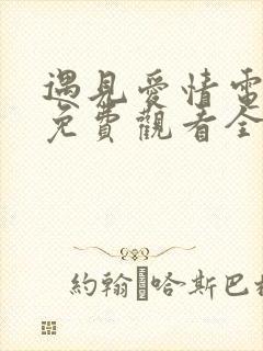 遇见爱情电视剧免费观看全集