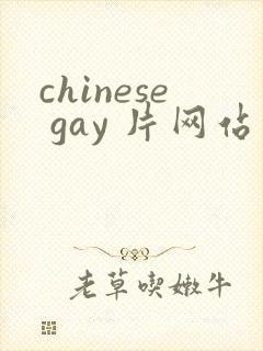 chinese gay 片网站