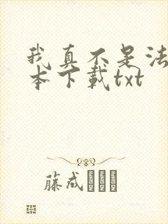 我真不是法爷全本下载txt