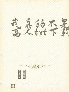 我真的不是绝世高人txt下载封面