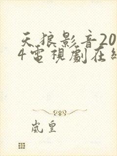 天狼影音2024电视剧在线观看免费