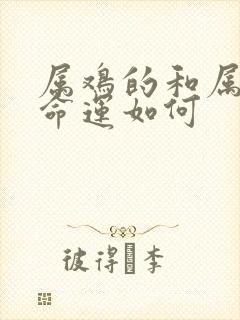 属鸡的和属兔的命运如何