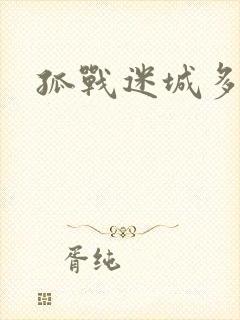 孤战迷城多少集