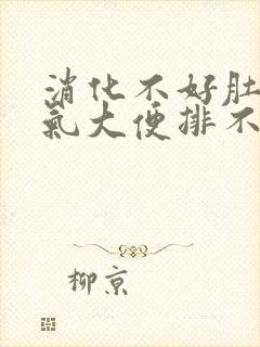 消化不好肚子胀气大便排不干净