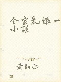 全家乱炖一锅烩小说封面