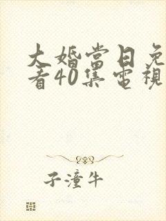 大婚当日免费观看40集电视连续剧