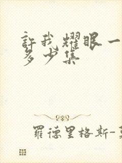 许我耀眼一共有多少集