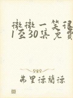 微微一笑很倾城1至30集免费看封面