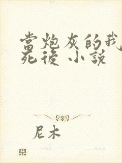 当炮灰的我替身死后 小说