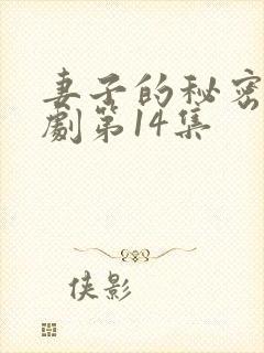 妻子的秘密4韩剧第14集