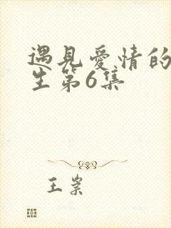 遇见爱情的利先生第6集封面