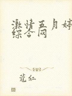 激情五月婷婷乱综合网