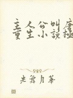 主人公叫唐生的重生小说极品太子爷