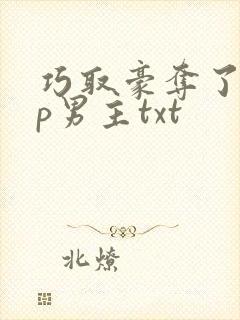 巧取豪夺了无cp男主txt封面