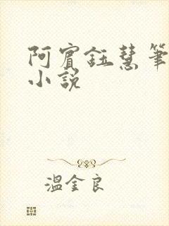 阿宾钰慧笔趣阁小说封面
