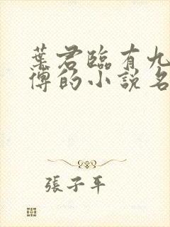 叶君临有九个师傅的小说名字封面
