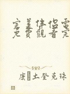 完美伴侣电视剧免费观看完整版全集